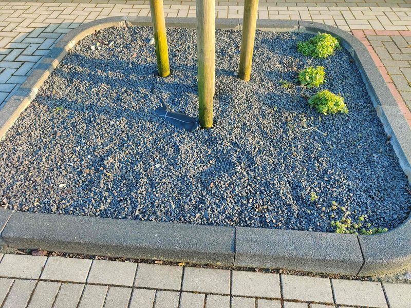 Das Bild zeigt eine sogenannte Baumscheibe, die mit Schotter befüllt ist