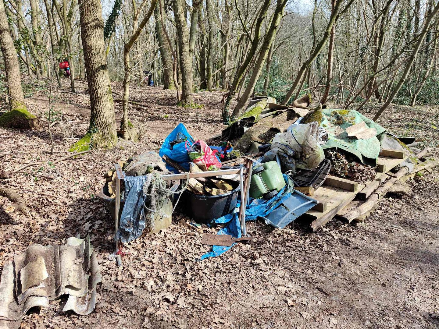 Das Bild zeigt einen großen Haufen Müll vor einem Wald